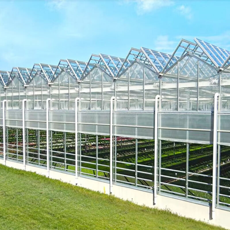 FZY Glass Greenhouses Will Protect Your Plants