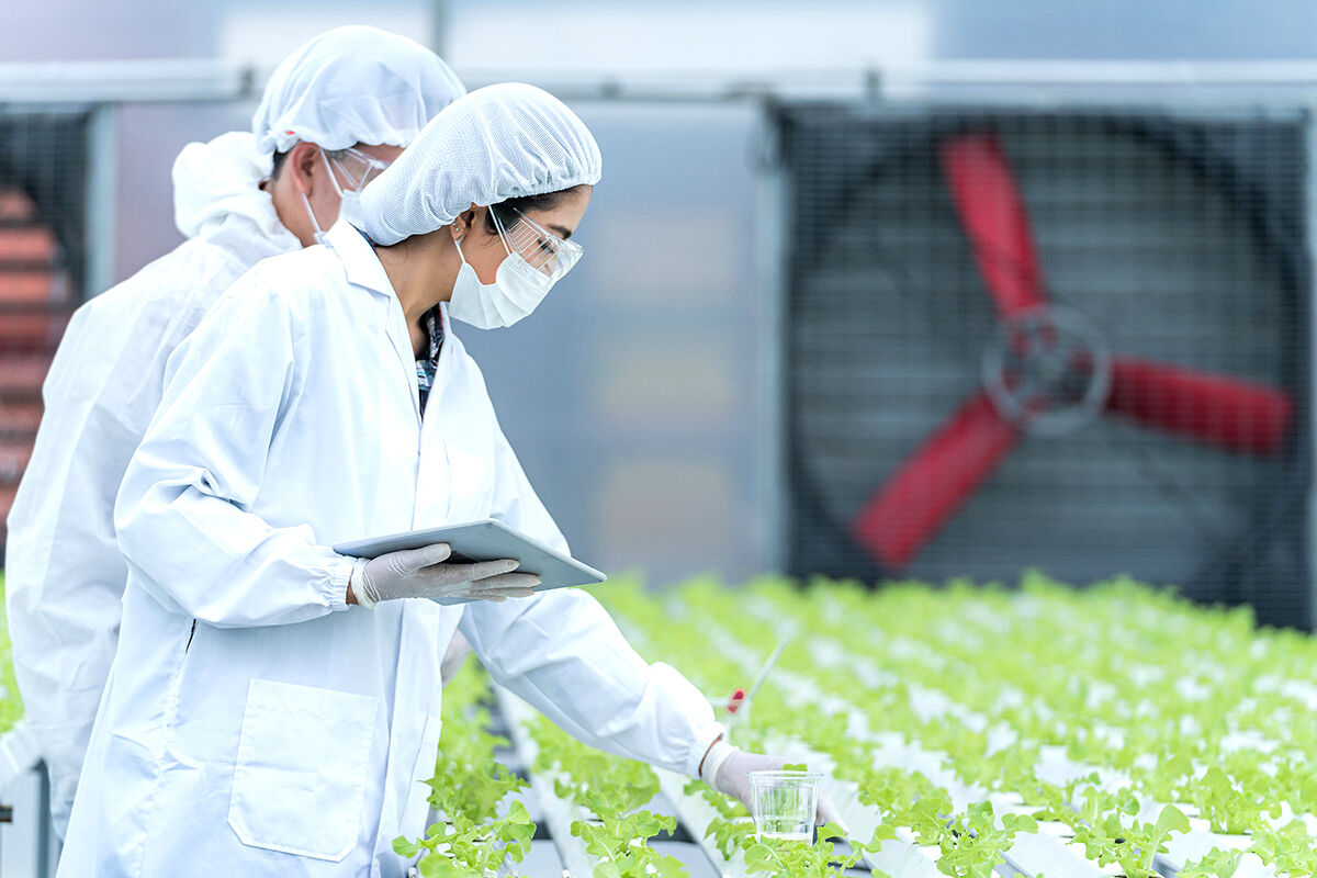 Hvordan fejlretter du almindelige problemer i et drivhuse hydroponisk system?