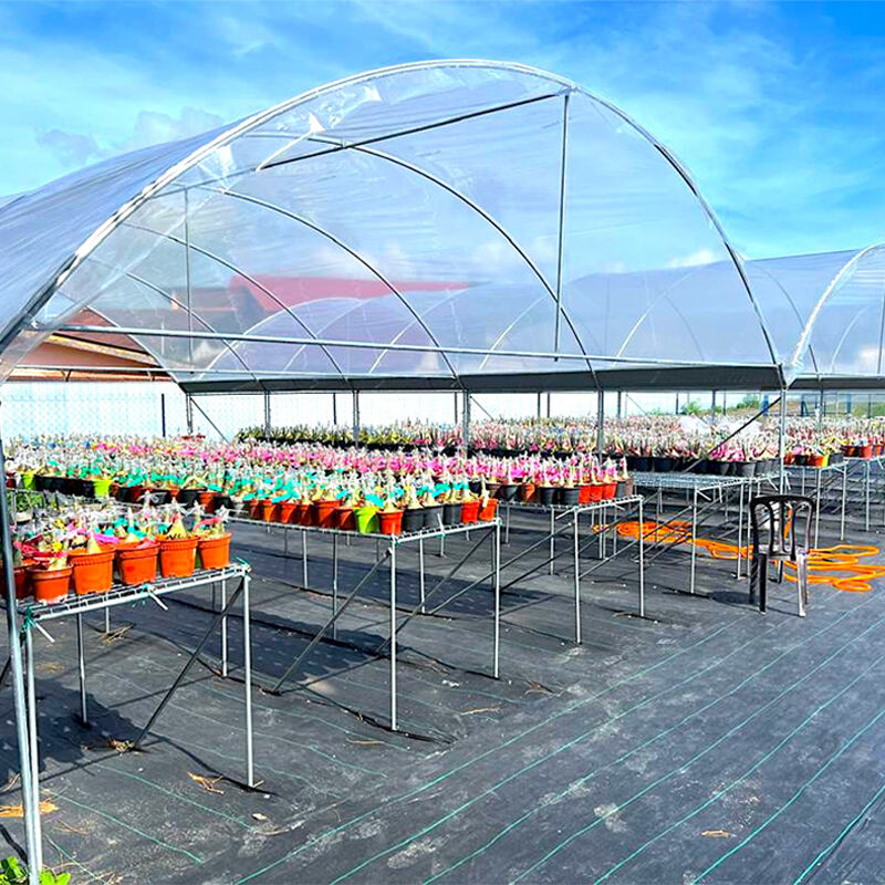 Large High Tunnel Greenhouses Support Maximum Growing Potential
