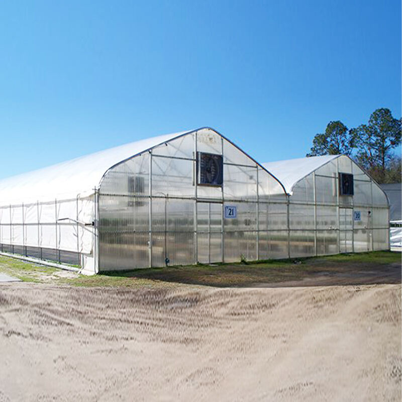 النماذج القابلة للحقن البيئي