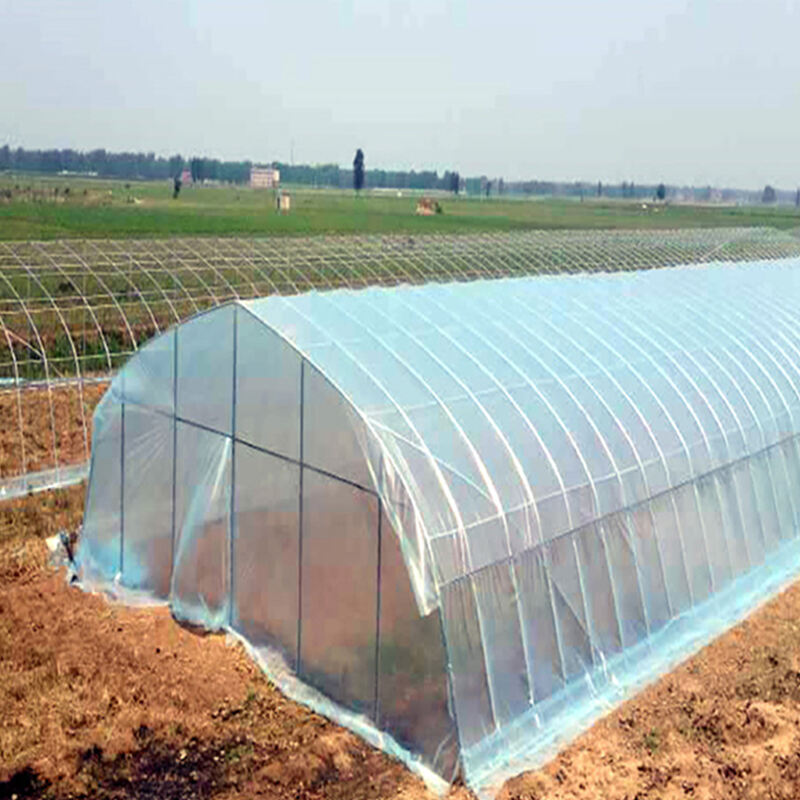 Ecologico  