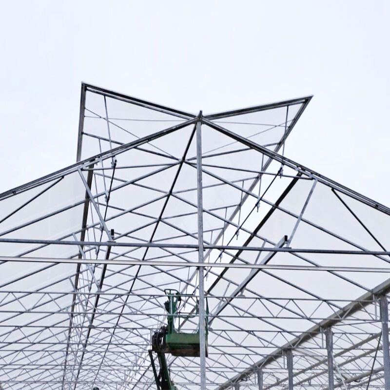 Pumili ng FZY Green Houses: Kalidad, Ekspertisya, at Pagkakatiwalaan na Maaari Ninyong Pagkatiwalaan