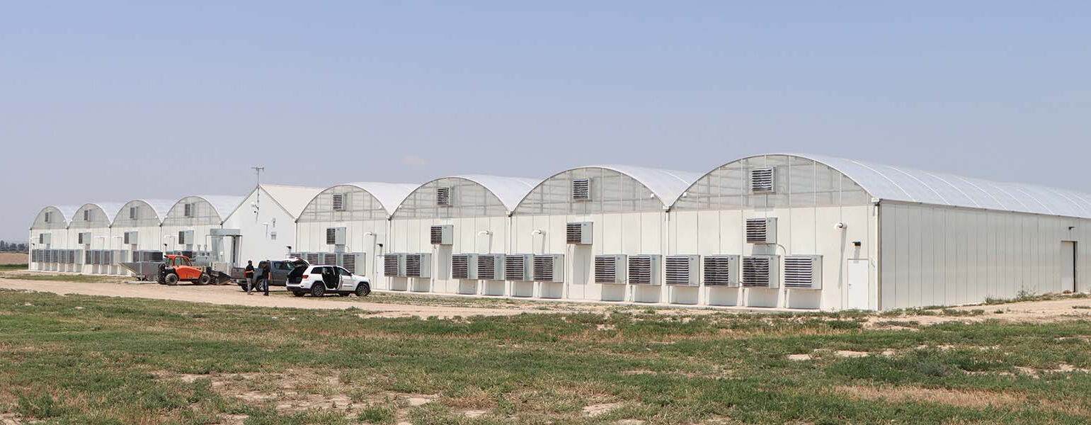 Hvor længe kan et polycarbonat drivhus opretholde god isolering?