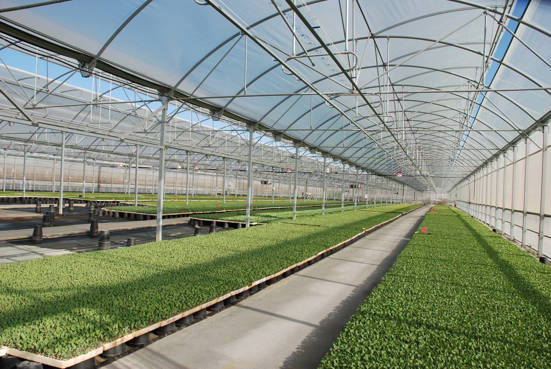 Hvordan vælger man et drivhus, der opfylder forskellige afgrøders vækstbehov?