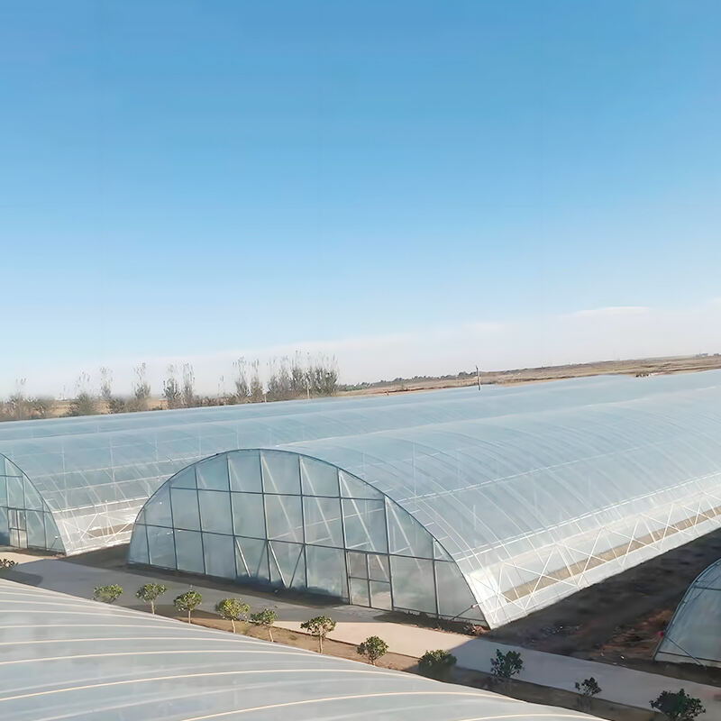 Gewächshausmerkmale Energieeffizienter
