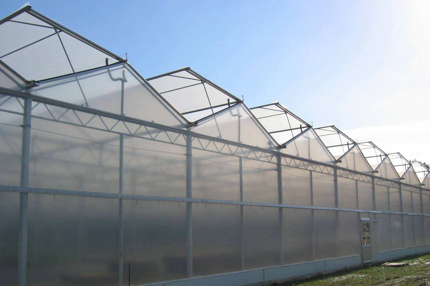 Exploring Different Types of Greenhouses for Home Use