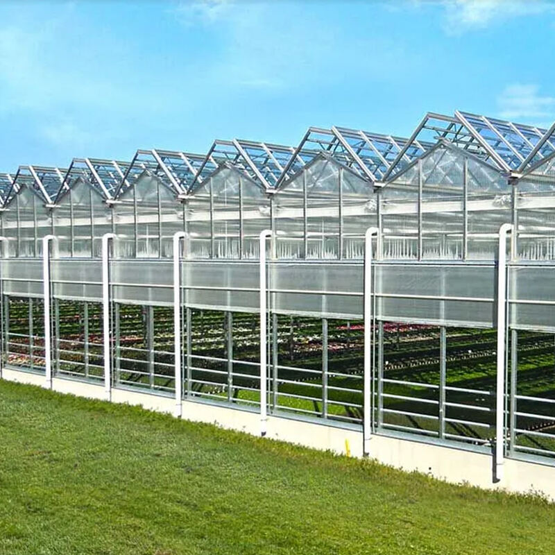 Sustainable Agriculture Solutions