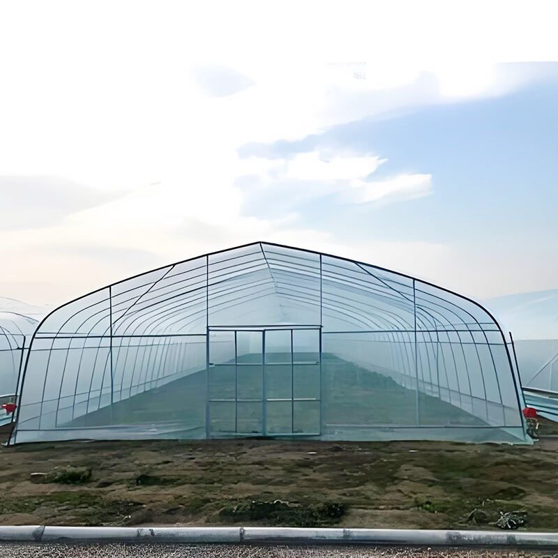 Allround-haltbare Landhaus-Greenhouse für jeden Anbauer