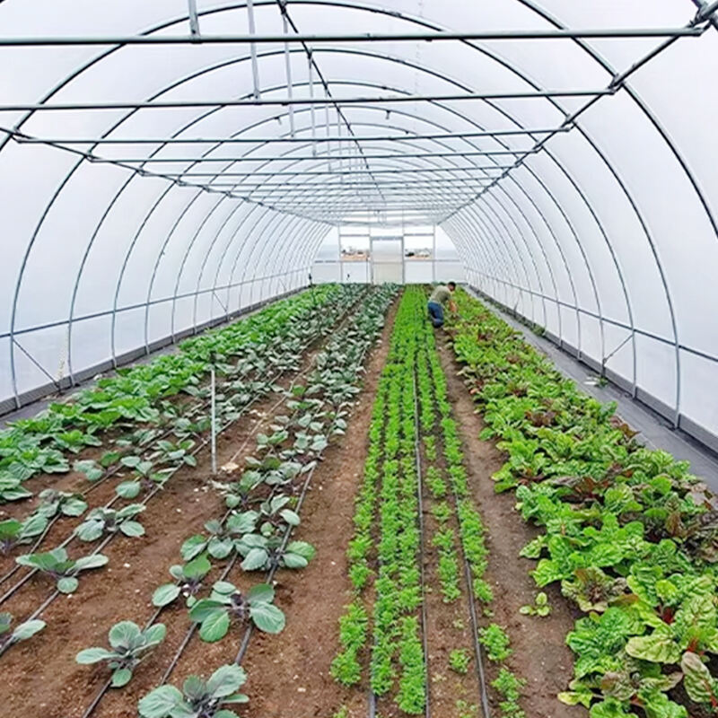 Echa un vistazo a la Invernadero Outsunny Duradero para tus necesidades de cultivo