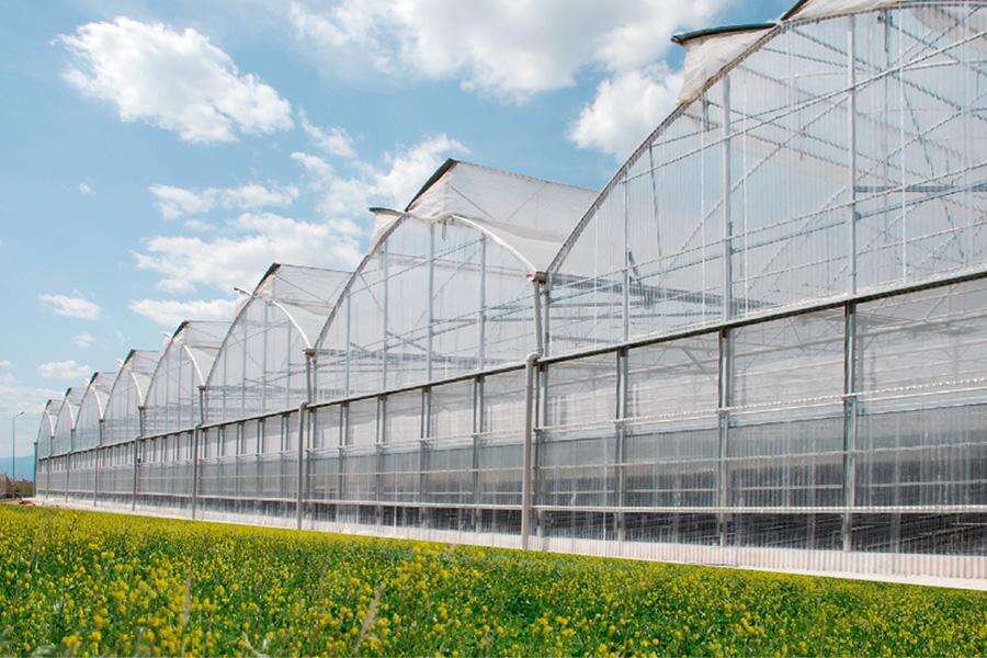How to Plan Your Commercial Greenhouse for Success