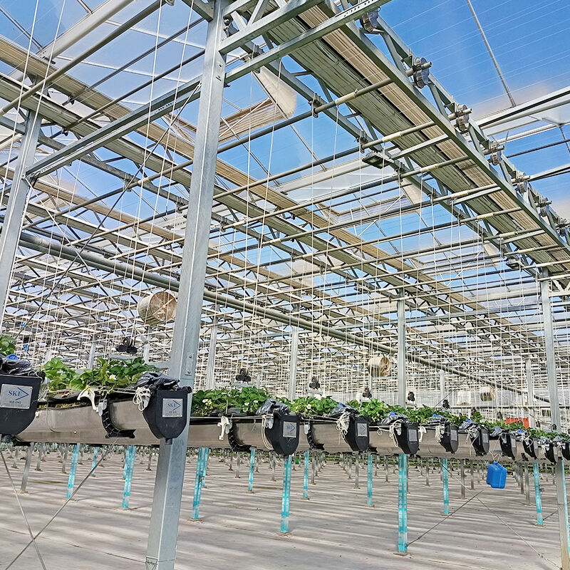 Advanced Protection For Crops