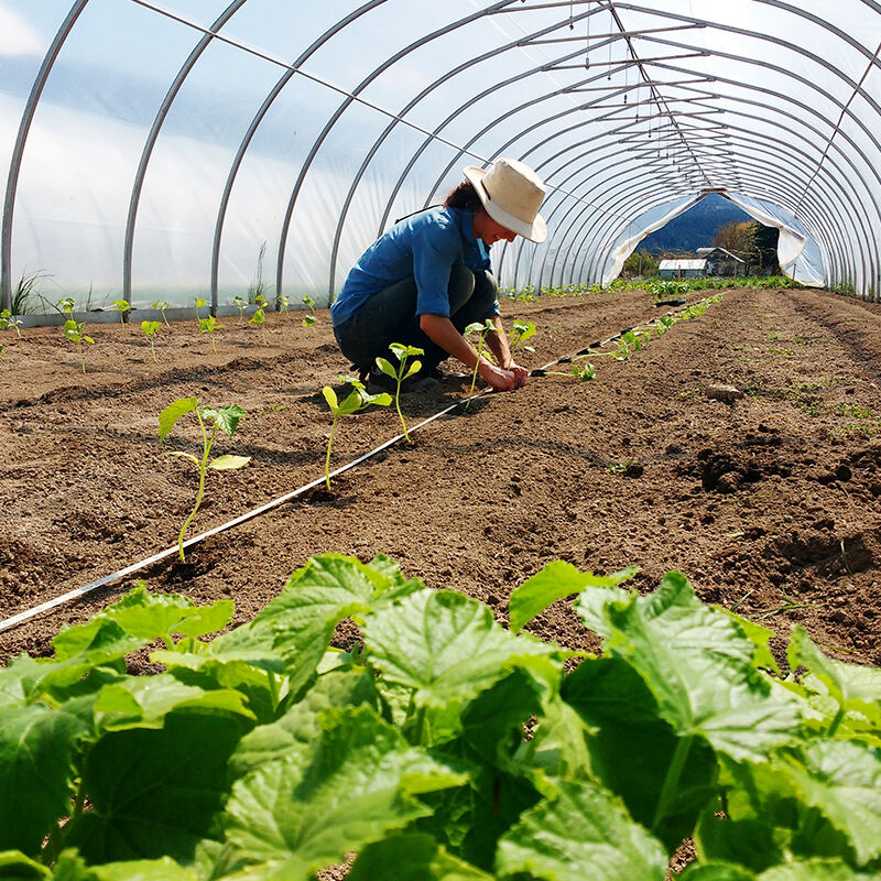 Special Emphasis on Environmental Care