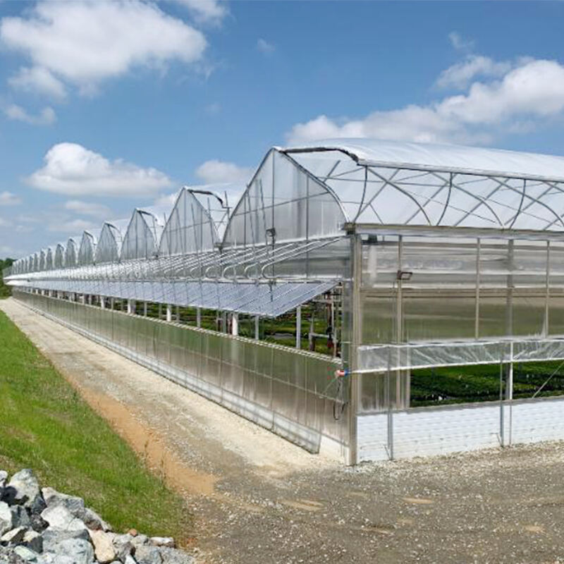 Materiali per Serra Grande che Garantiscono una Produzione Ottimale