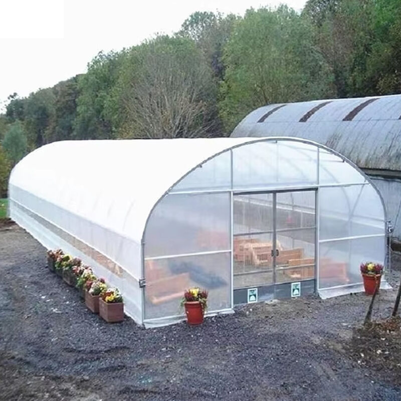 Dapatkan Greenhouse Productive Sunrise untuk Pengalaman Tumbuh yang Lebih Baik