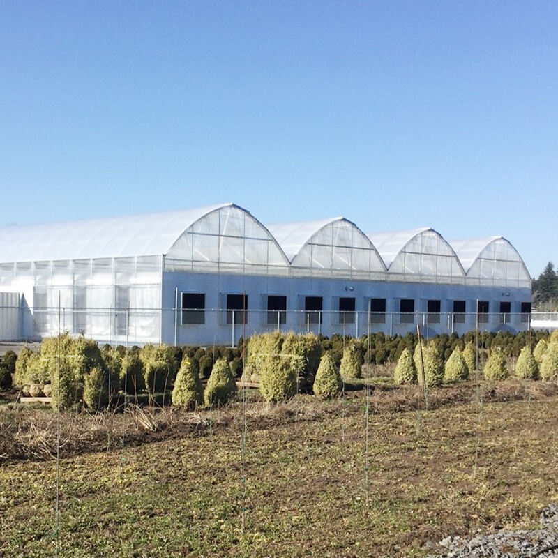 FZY Greenhouses: La Soluzione Per Le Tue Esigenze Di Coltivazione Tutto L'Anno - FZY Greenhouses