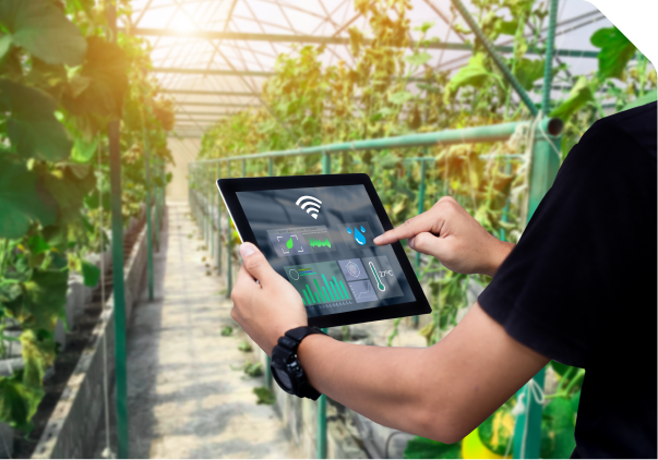 The Future of Greenhouses: Smart Technology Integration