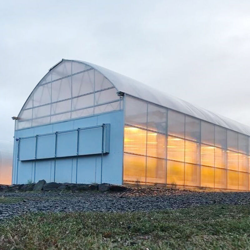 Mga Bahay-Pula na Katugma sa FZY Hydroponics: Mga Solusyon sa Pagtatanim na Mahemat sa Tubig