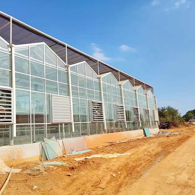 Low-Cost and Effective Glass Greenhouses for Every Cultivator