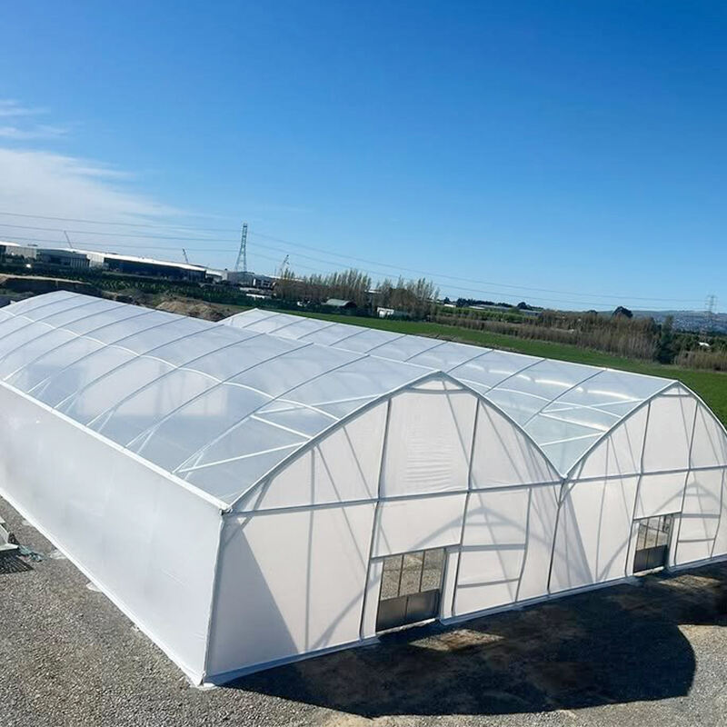 Sforzi Eco-friendly
