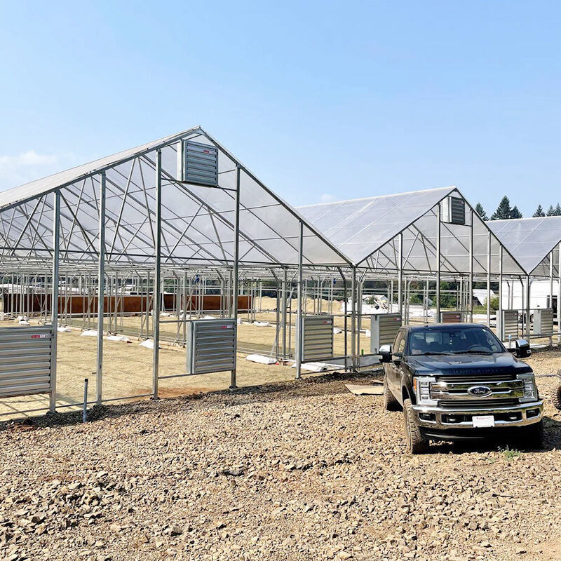 FZY Cannabis Cultivation Green Houses: Mga Teknolohikal na Kapaligiran para sa Pagtatanim