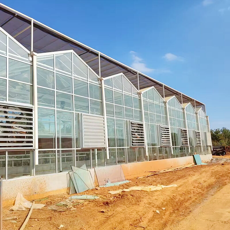 Custom Glass Greenhouse Solutions for Optimal Growth