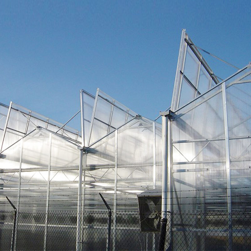Los invernaderos Outsunny están diseñados teniendo en cuenta el medio ambiente