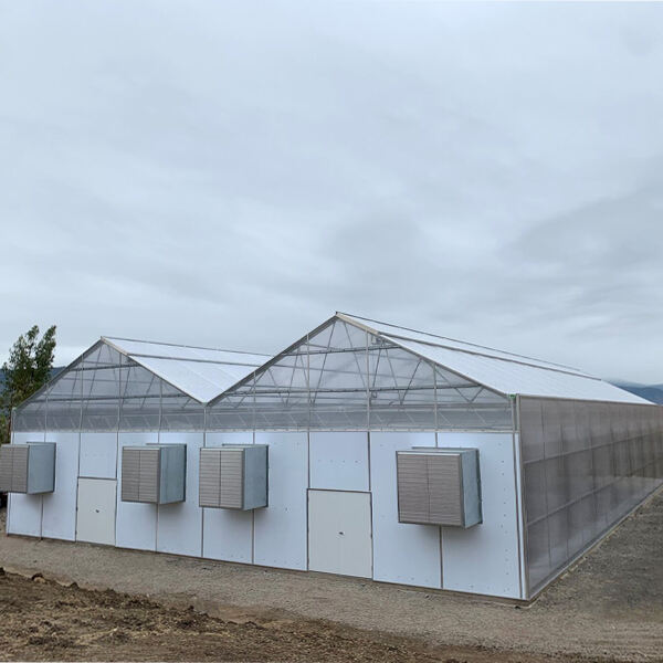 Multi-span polycarbonate Greenhouse