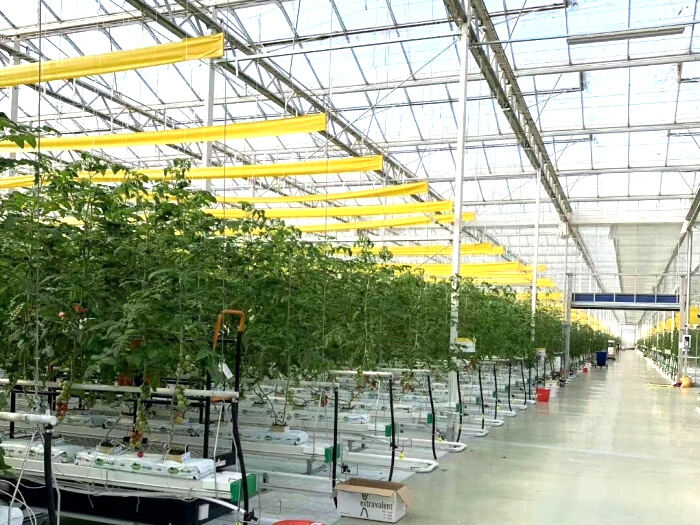 Hvilket bevandingssystem fungerer bedst for et stort drivhus?