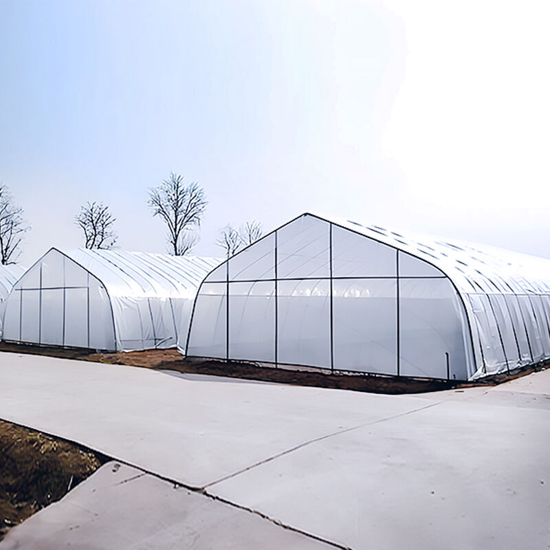 Enhance Your Farming Experience with FZY’s Sustainable High Tunnel Greenhouses