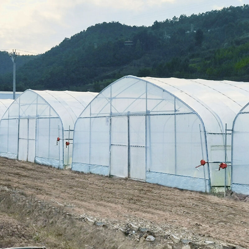 Otputna otpornost na nevjernu vremensku prigu