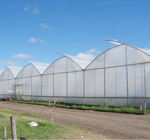 Hebei Fengzhiyuan Greenhouse Equipment Manufacturing Co., Ltd