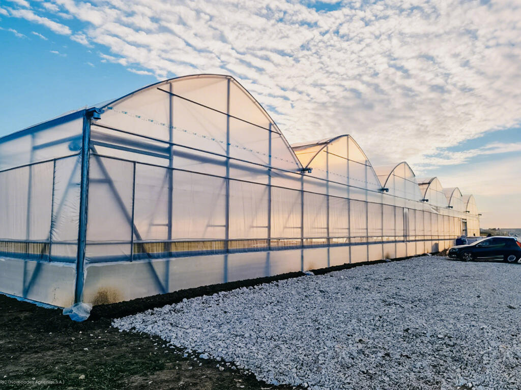 Presisie Klimaatbeheer vir Woestynlandbou