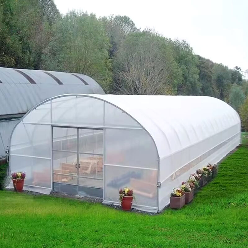 Cost and Financial Implications of a Green House: A Comprehensive Guide