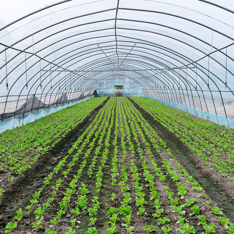 Improved Crop Damage Handling