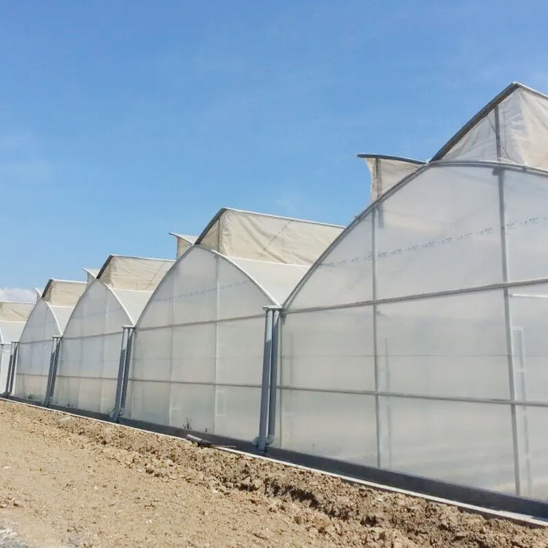 Lihatlah Greenhouse Matahari Terbit Ramah Lingkungan Kami