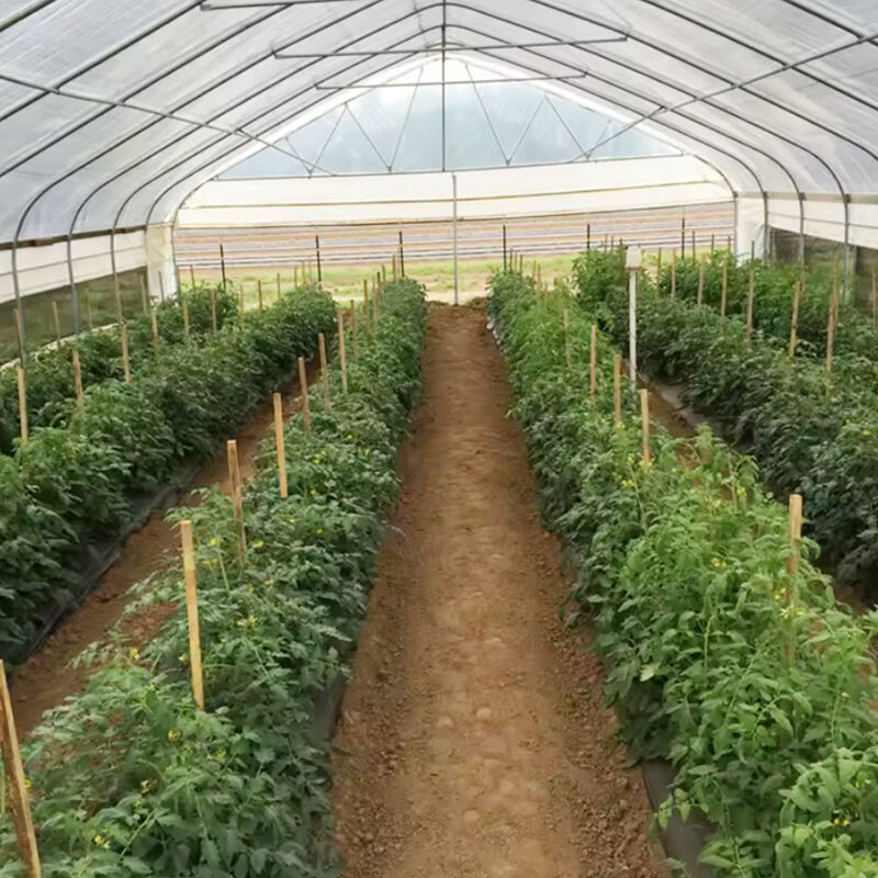 Cultiva flores con Invernaderos Outsunny y Soluciones para Flores