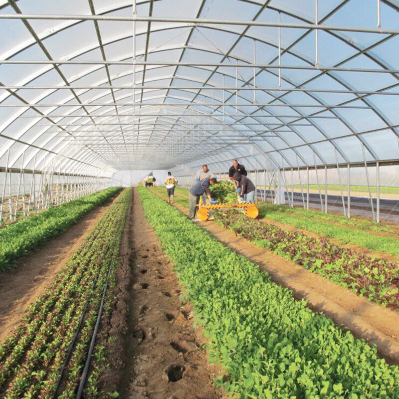 Gazdasági Innováció: Környezeti Fenntarthatóság