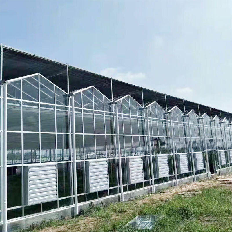 Cahaya Bukan Masalah: Rumah Kaca Kaca Menjamin Kualitas Cahaya Untuk Tanaman Anda