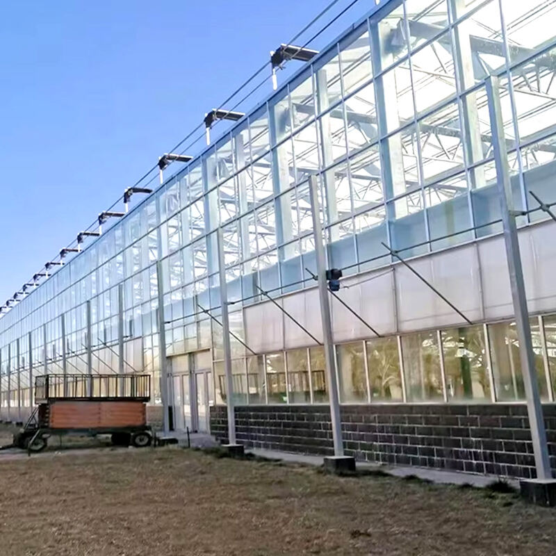 Elevate Your Gardening with Our Glass Greenhouse Kit
