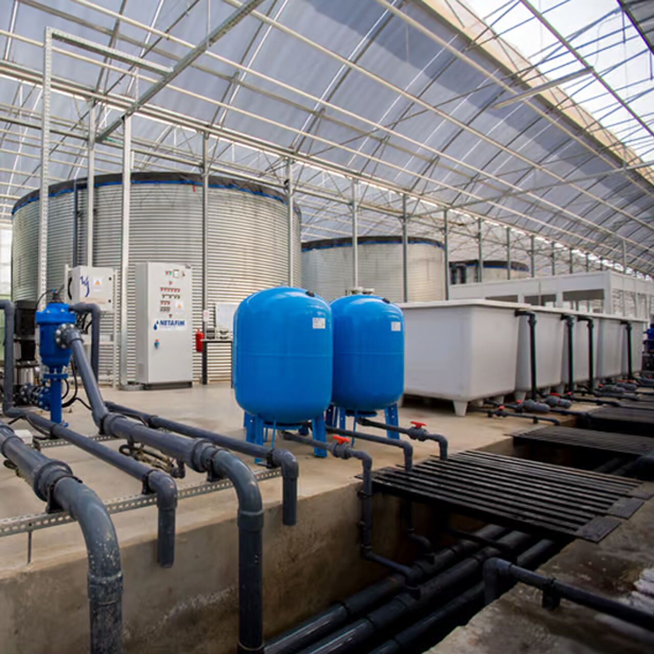 Irrigation and Fertilization