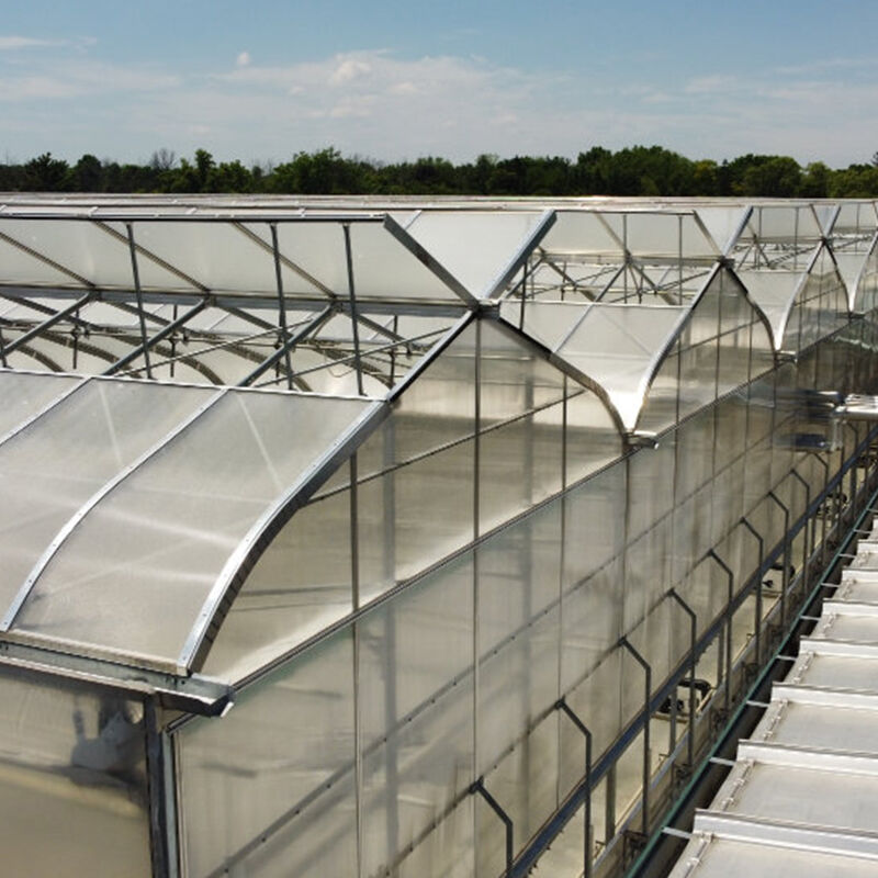 FZY Dutch Multi-Span Intelligent Green Houses: Mga Premium na Sentro ng Pag-aani