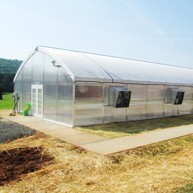 FZY Ridge-Ventilated Plastic Green Houses: Mataas na Ani, Kontrolado ang Temperatura