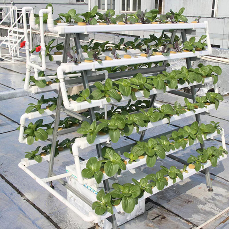 Entwicklung fortschrittlicher Hydrokultur-Systeme
