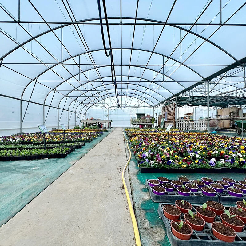 FZY Commercial Greenhouses Grows with Your Business and Your Needs