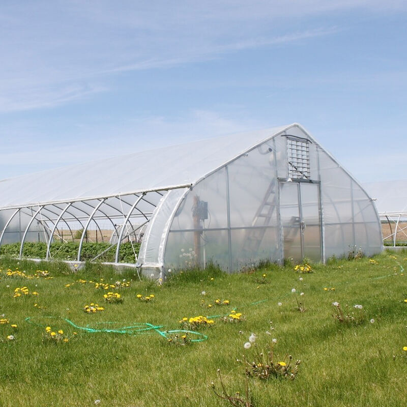 Cosain do Phlánta le FZY Greenhouses