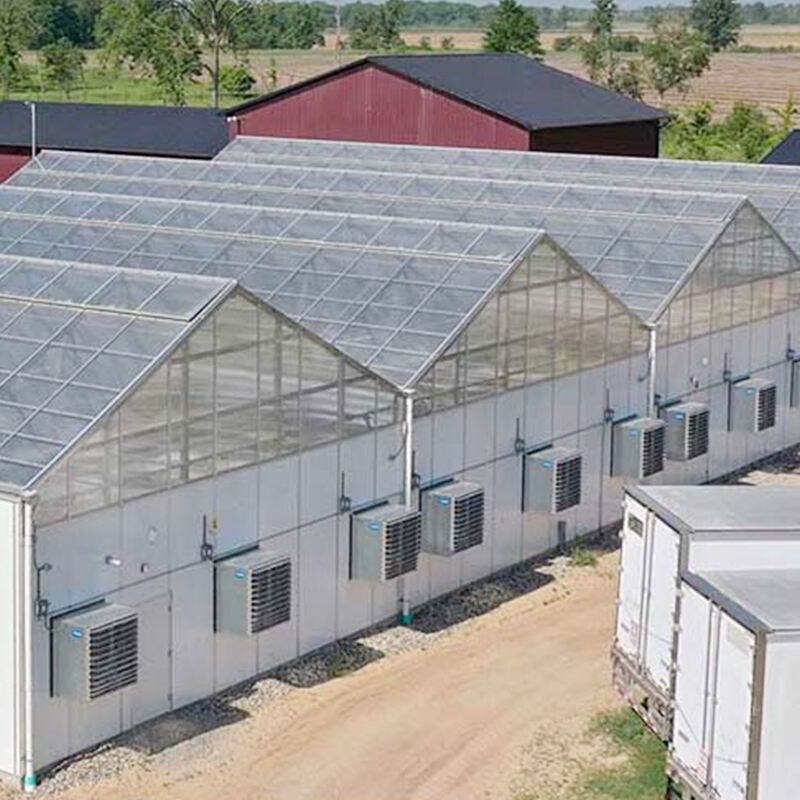 Get a Profitable Glass Greenhouse from FZY and Change the Way You Grow Forever