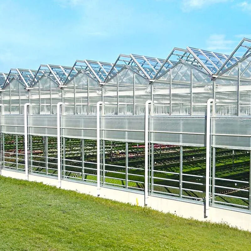 FZY is committed to sustainability