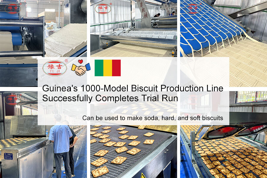 YJ-1000 হার্ড ও সফট বিস্কুট উৎপাদন লাইন