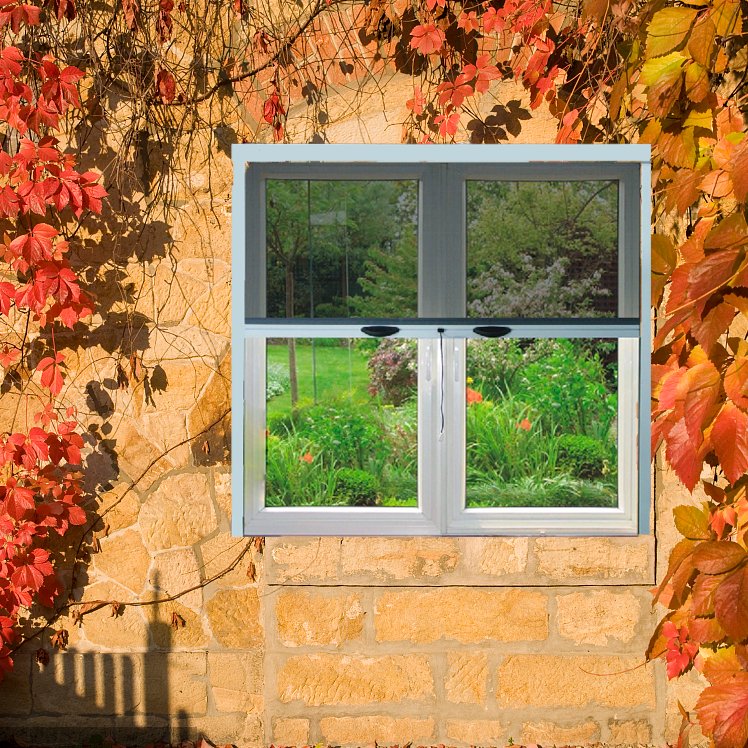 The Ultimate Solution for Your Window Needs