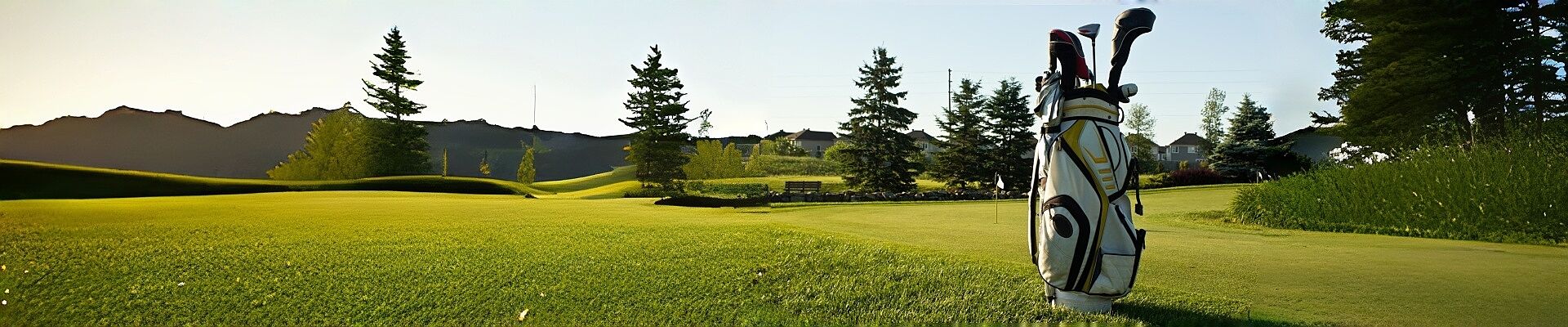 golf stand bag with 14 way top dividers golf bag with adjustable dual strap for men-0